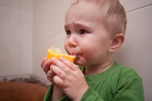 梅 の英語は Plum だけ 今すぐ使える３つの単語と発音 マイスキ英語